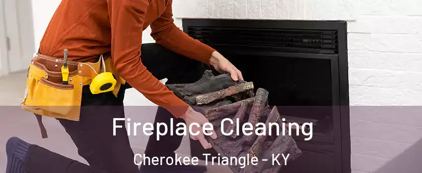 Fireplace Cleaning Cherokee Triangle - KY