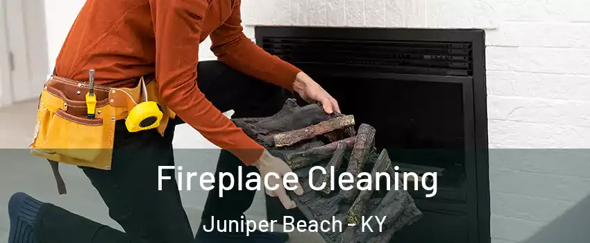 Fireplace Cleaning Juniper Beach - KY