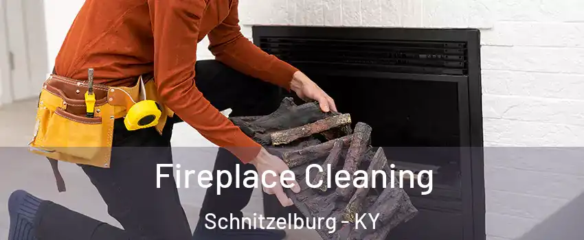 Fireplace Cleaning Schnitzelburg - KY