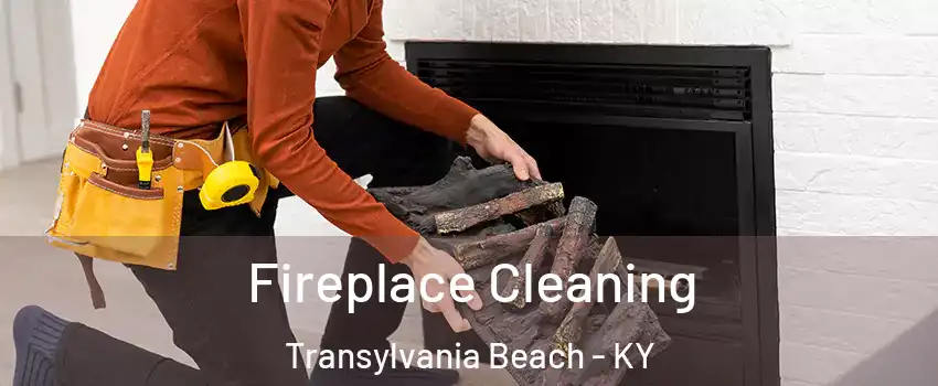 Fireplace Cleaning Transylvania Beach - KY