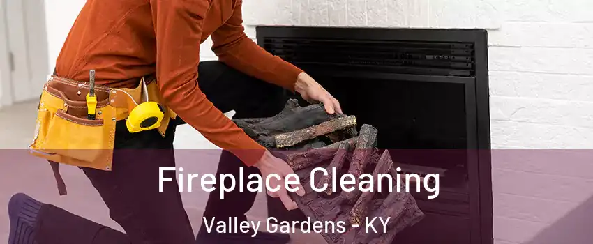 Fireplace Cleaning Valley Gardens - KY