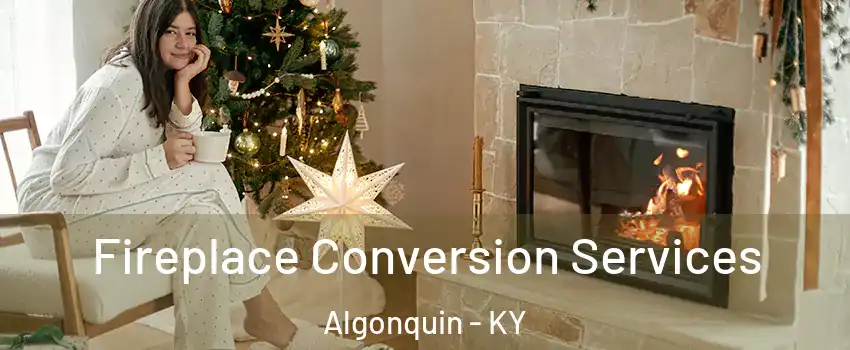 Fireplace Conversion Services Algonquin - KY