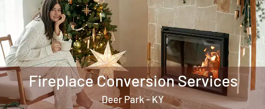 Fireplace Conversion Services Deer Park - KY