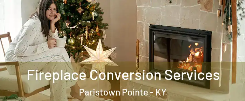 Fireplace Conversion Services Paristown Pointe - KY