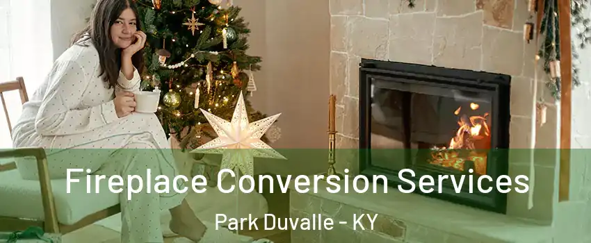 Fireplace Conversion Services Park Duvalle - KY