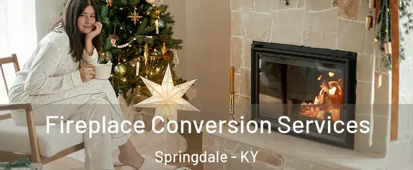 Fireplace Conversion Services Springdale - KY