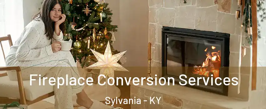 Fireplace Conversion Services Sylvania - KY