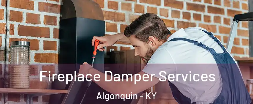 Fireplace Damper Services Algonquin - KY