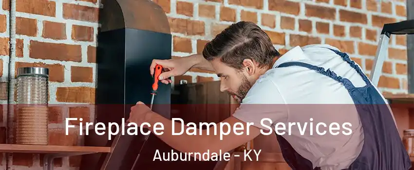 Fireplace Damper Services Auburndale - KY