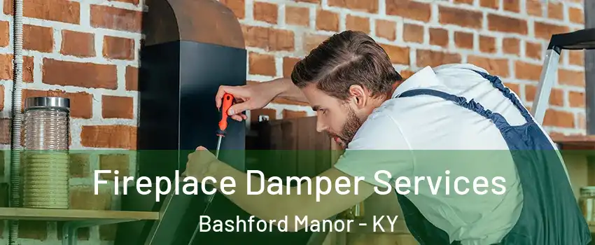 Fireplace Damper Services Bashford Manor - KY