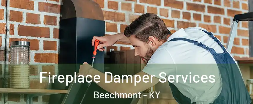 Fireplace Damper Services Beechmont - KY