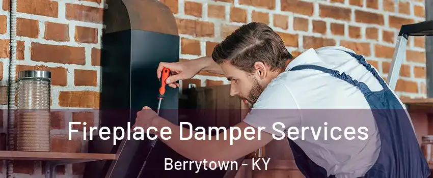 Fireplace Damper Services Berrytown - KY