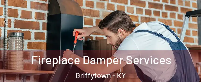 Fireplace Damper Services Griffytown - KY