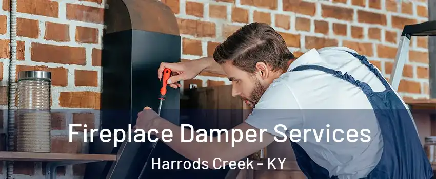 Fireplace Damper Services Harrods Creek - KY