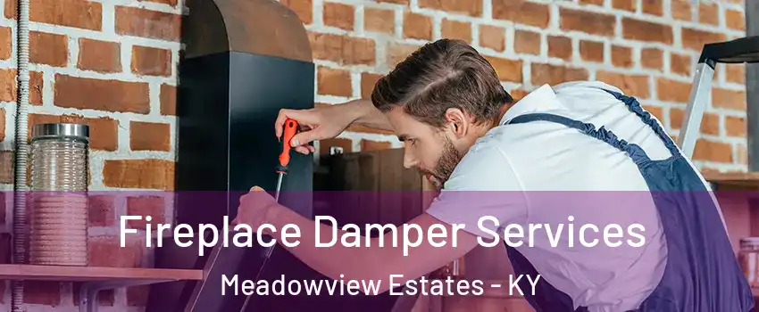 Fireplace Damper Services Meadowview Estates - KY