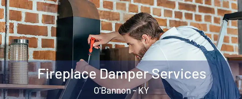 Fireplace Damper Services O'Bannon - KY