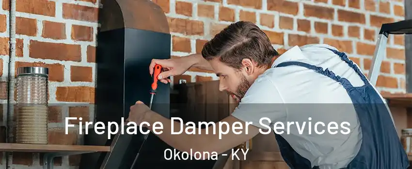 Fireplace Damper Services Okolona - KY