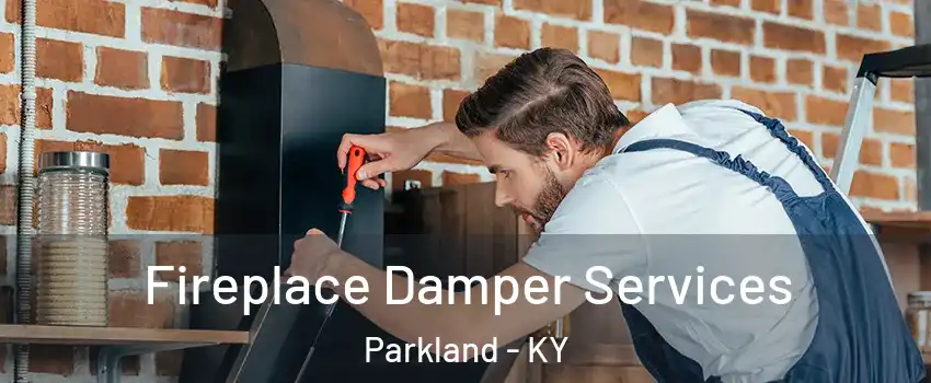 Fireplace Damper Services Parkland - KY