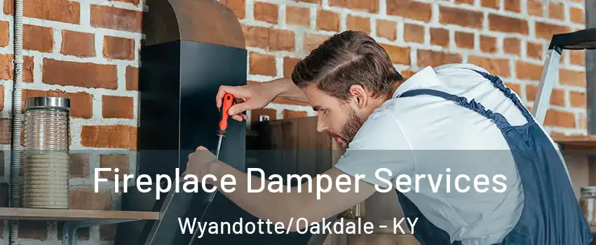 Fireplace Damper Services Wyandotte/Oakdale - KY