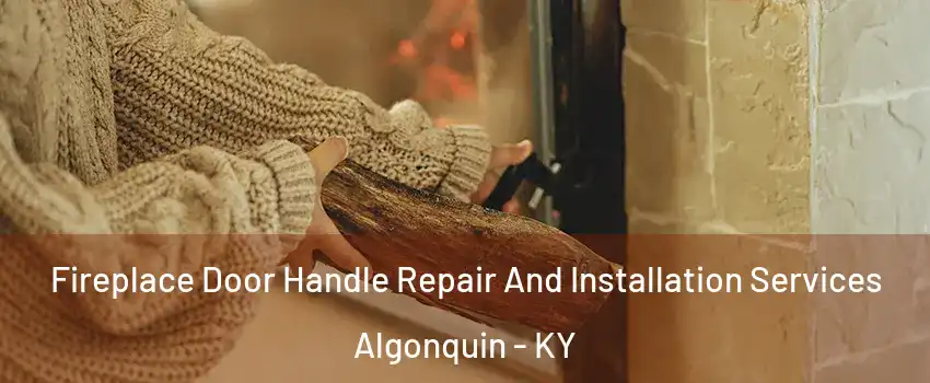 Fireplace Door Handle Repair And Installation Services Algonquin - KY