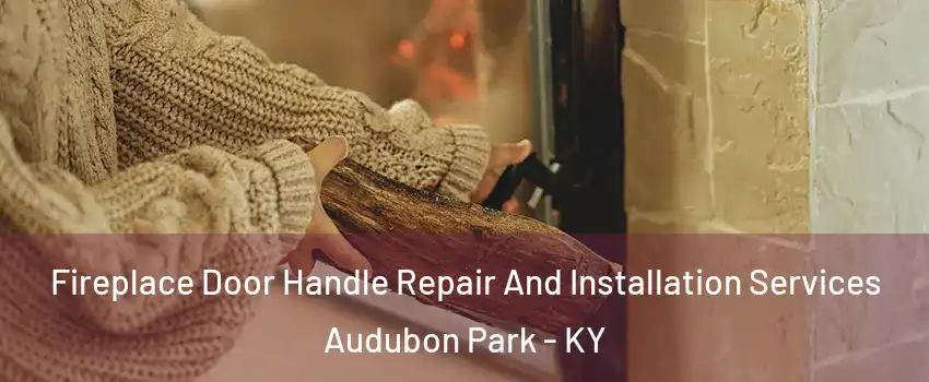 Fireplace Door Handle Repair And Installation Services Audubon Park - KY