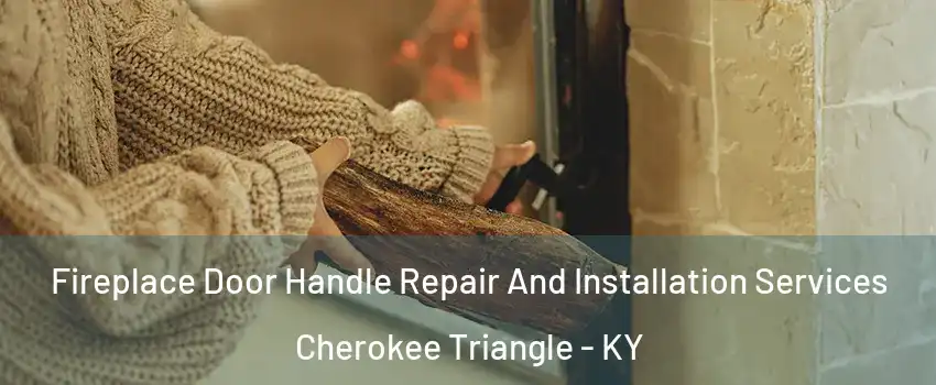 Fireplace Door Handle Repair And Installation Services Cherokee Triangle - KY