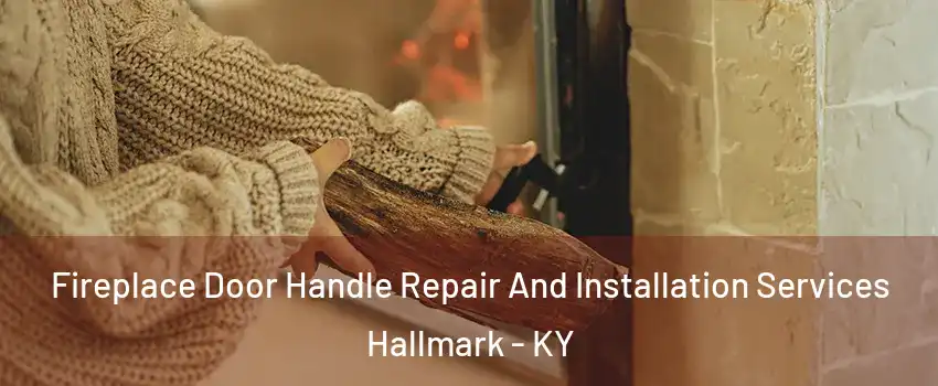 Fireplace Door Handle Repair And Installation Services Hallmark - KY