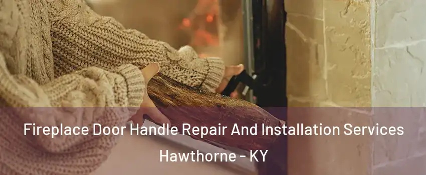 Fireplace Door Handle Repair And Installation Services Hawthorne - KY