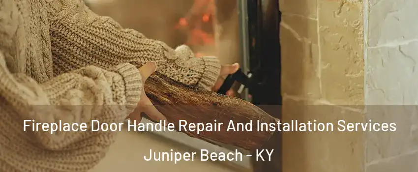 Fireplace Door Handle Repair And Installation Services Juniper Beach - KY