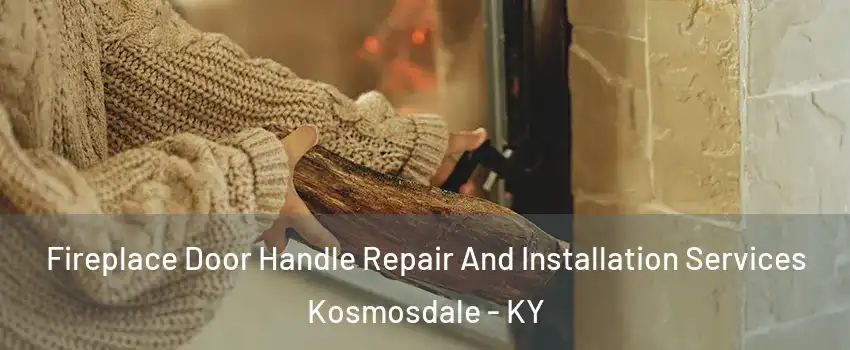 Fireplace Door Handle Repair And Installation Services Kosmosdale - KY