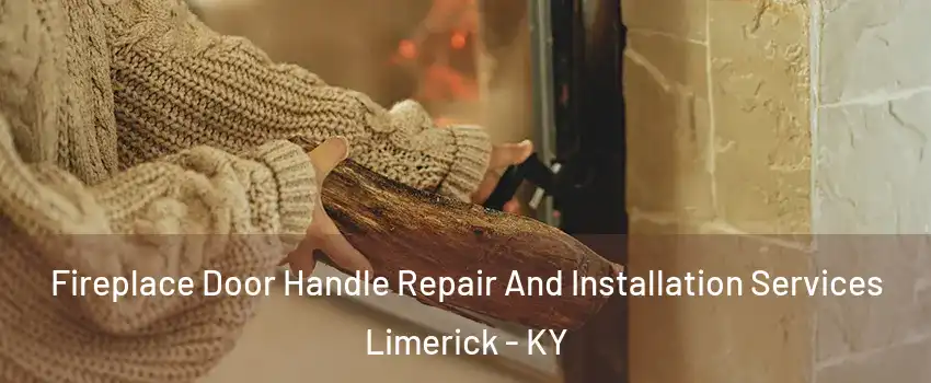 Fireplace Door Handle Repair And Installation Services Limerick - KY