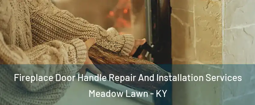 Fireplace Door Handle Repair And Installation Services Meadow Lawn - KY