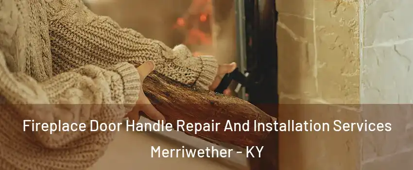 Fireplace Door Handle Repair And Installation Services Merriwether - KY