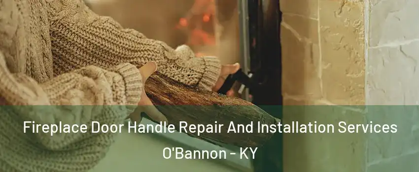 Fireplace Door Handle Repair And Installation Services O'Bannon - KY