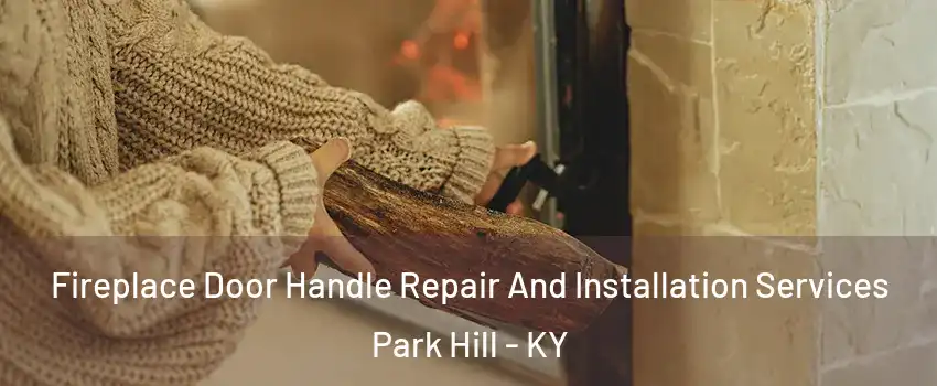 Fireplace Door Handle Repair And Installation Services Park Hill - KY