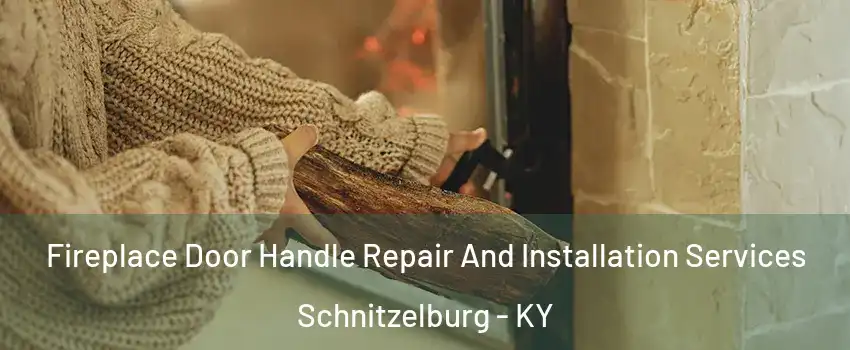 Fireplace Door Handle Repair And Installation Services Schnitzelburg - KY