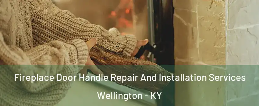 Fireplace Door Handle Repair And Installation Services Wellington - KY