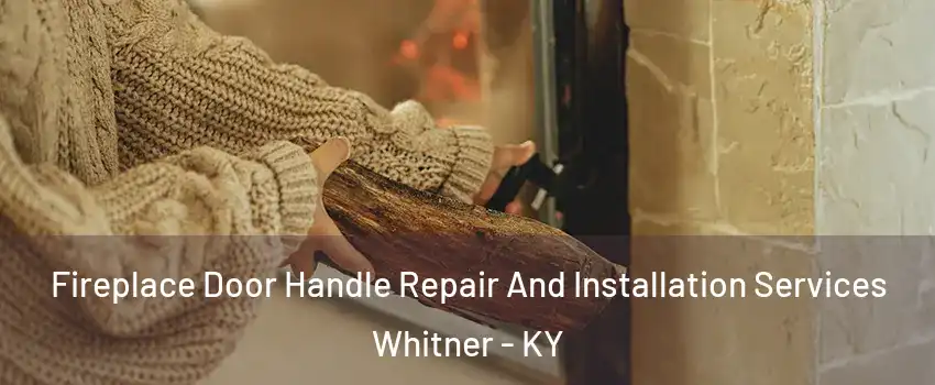 Fireplace Door Handle Repair And Installation Services Whitner - KY