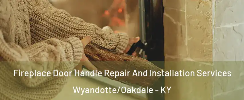 Fireplace Door Handle Repair And Installation Services Wyandotte/Oakdale - KY