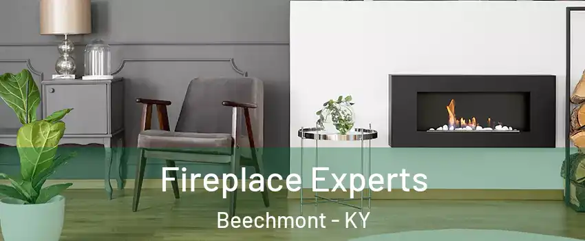 Fireplace Experts Beechmont - KY