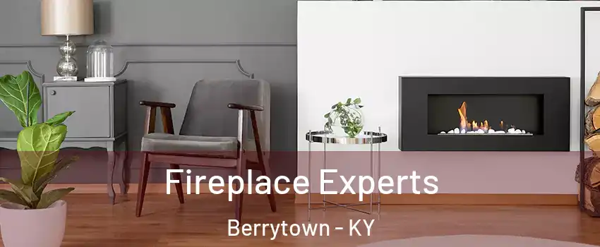 Fireplace Experts Berrytown - KY