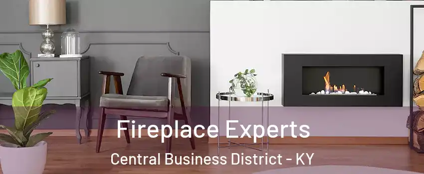 Fireplace Experts Central Business District - KY