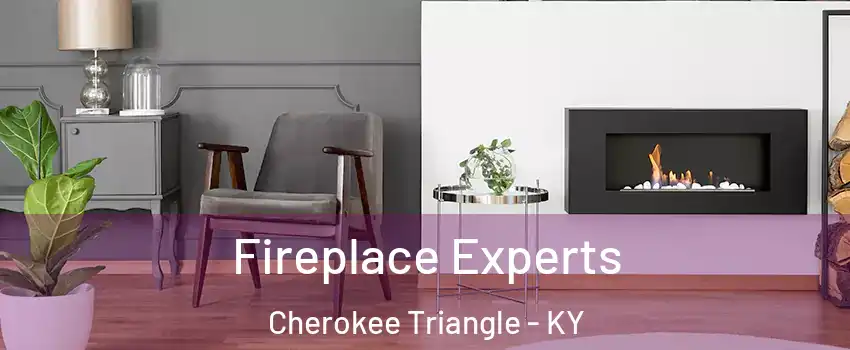 Fireplace Experts Cherokee Triangle - KY