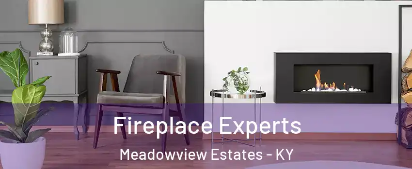 Fireplace Experts Meadowview Estates - KY