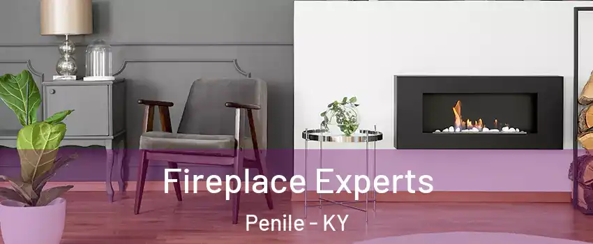 Fireplace Experts Penile - KY