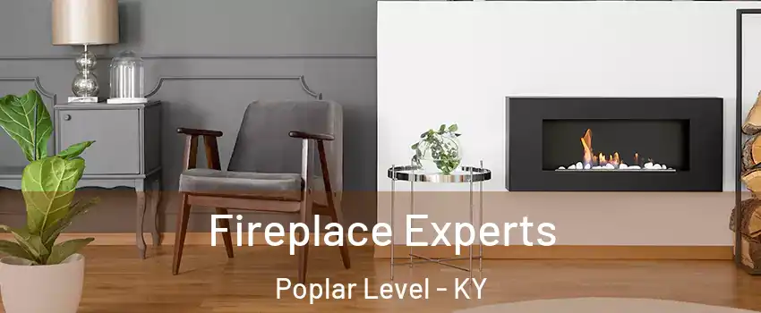 Fireplace Experts Poplar Level - KY