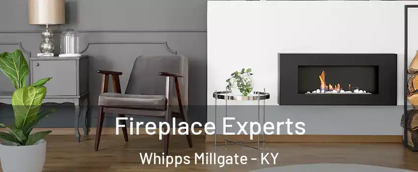 Fireplace Experts Whipps Millgate - KY