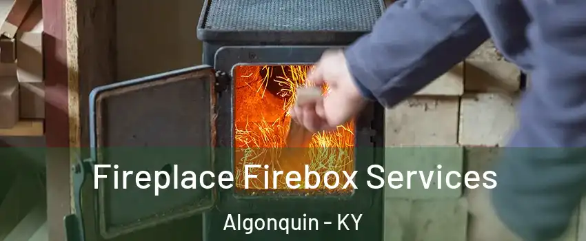 Fireplace Firebox Services Algonquin - KY