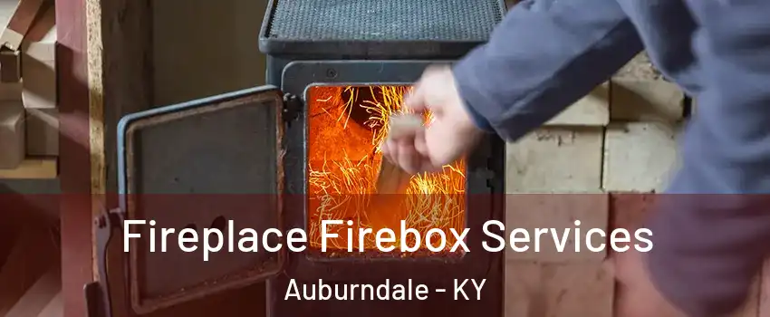 Fireplace Firebox Services Auburndale - KY