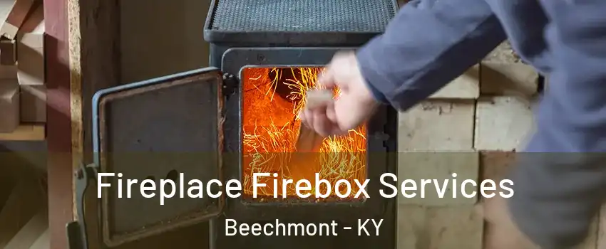 Fireplace Firebox Services Beechmont - KY